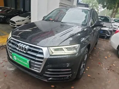Audi Q5L · 2019 год