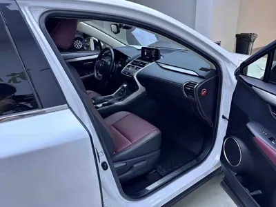 Lexus NX 2020, 44700 км, за 24384.95 USD - фото 11