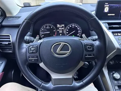 Lexus NX 2020, 44700 км, за 24384.95 USD - фото 12