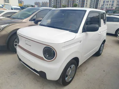 Geely Panda · 2024 год