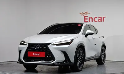 Lexus NX · 2024 год