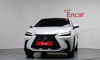 Lexus NX 2024, 94769 км, за 34703.88 USD