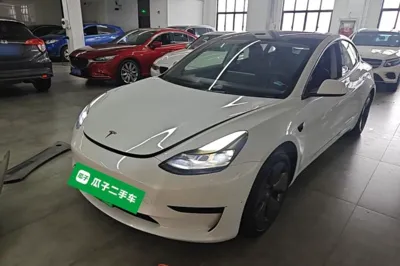 Tesla Model 3 · 2021 год