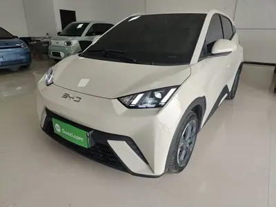 BYD Seagull · 2024 год