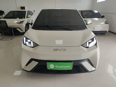 BYD Seagull 2024, 33300 км, за 8030.97 USD