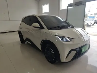 BYD Seagull 2024, 33300 км, за 8030.97 USD