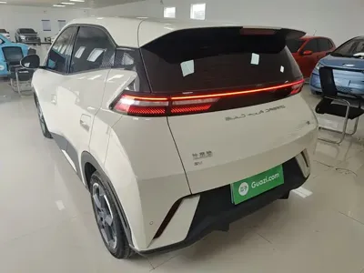 BYD Seagull 2024, 33300 км, за 8030.97 USD