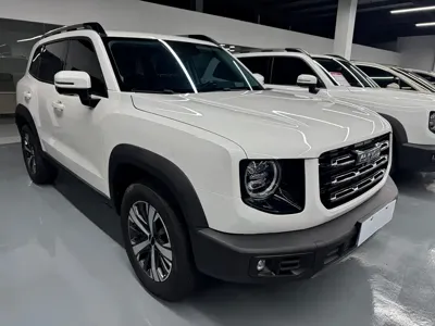 Haval Big Dog 2021, 100000 км, за 7082.84 USD