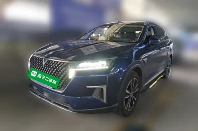 Venucia Star · 2020 год