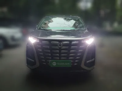 Denza D9