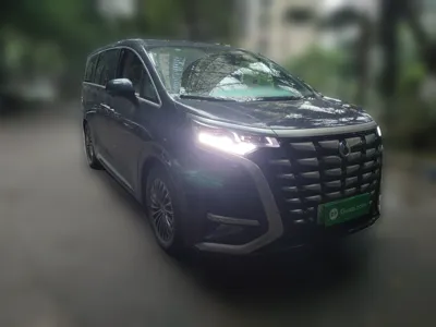 Denza D9