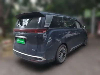 Denza D9