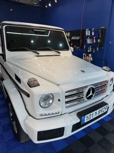 Mercedes-Benz G-Class · 2017 год