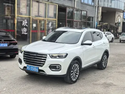 Haval H6 · 2020 год