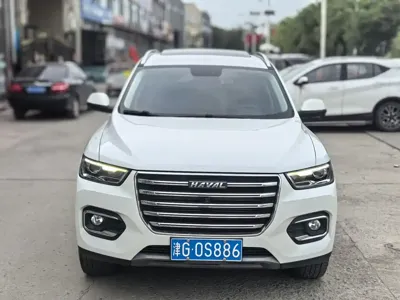 Haval H6 2020, 50000 км, за 6133.17 USD
