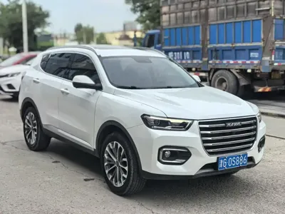 Haval H6 2020, 50000 км, за 6133.17 USD