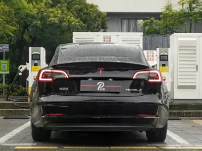 Tesla Model 3 2022, 30000 км, за 21747.67 USD