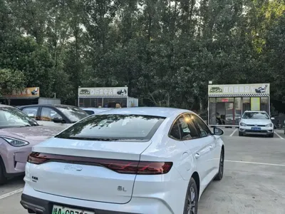 BYD Qin L 2026, 100 км, за 11741.97 USD