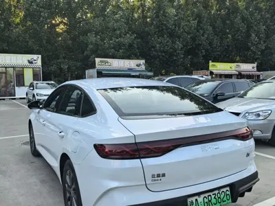 BYD Qin L 2026, 100 км, за 11741.97 USD