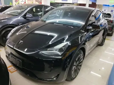 Tesla Model Y · 2022 год