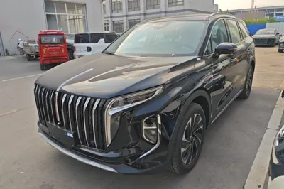 Hongqi HS7 PHEV · 2025 год