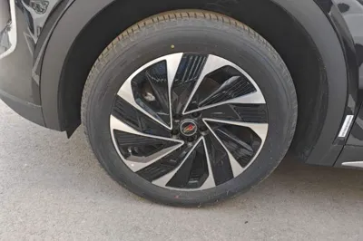 Hongqi HS7 PHEV 2025, 100 км, за 29890 USD - фото 10