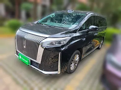 WEY Gaoshan · 2025 год