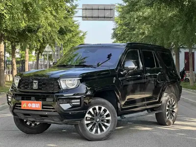Tank Tank 700 New Energy · 2024 год