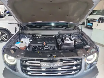 Haval Big Dog 2022, 36800 км, за 9842.19 USD - фото 20