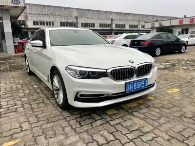 BMW 5 Series · 2019 год