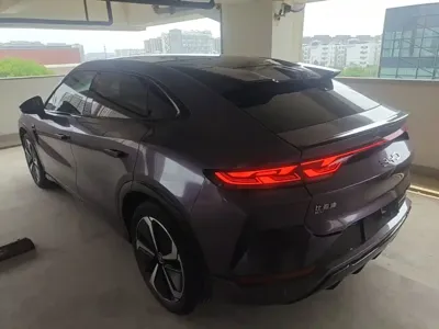 BYD L EV 2024, 52900 км, за 18878.39 USD