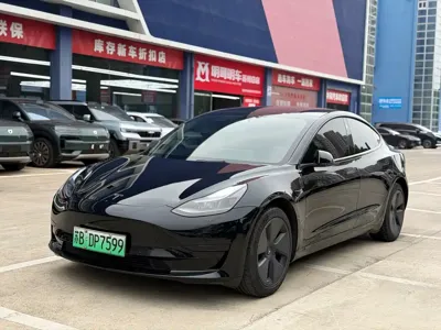 Tesla Model 3 · 2023 год