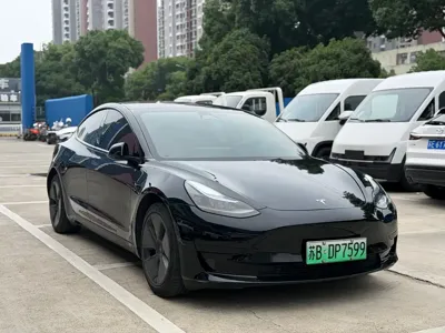 Tesla Model 3 2023, 80000 км, за 16944.39 USD