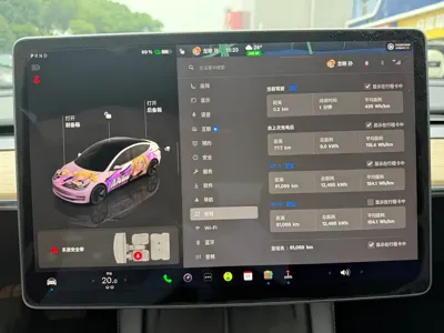 Tesla Model 3 2023, 80000 км, за 16944.39 USD - фото 9