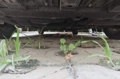Toyota Corolla 2018, 35500 км, за 6807 USD - фото 24