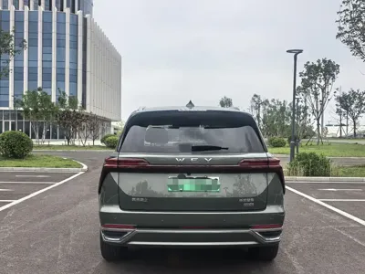 WEY Wey Lanshan 2025, 20000 км, за 29134.22 USD