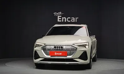 Audi e-tron 2022, 55091 км, за 36058.99 USD