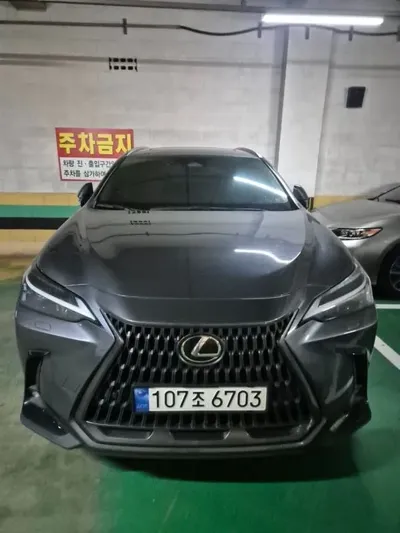 Lexus NX · 2024 год