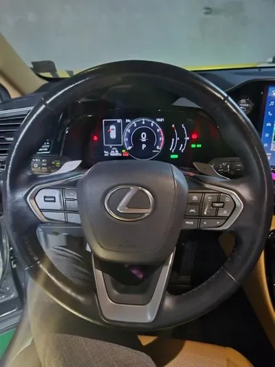 Lexus NX 2024, 100013 км, за 28602.99 USD
