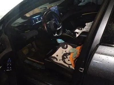 BYD Seal 2023, 38300 км, за 14165.68 USD - фото 9