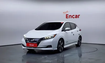 Nissan Leaf · 2019 год
