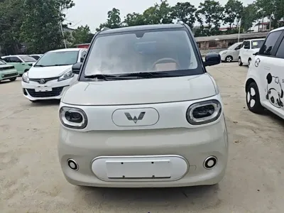 Wuling MINIEV 2024, 40800 км, за 4456.29 USD
