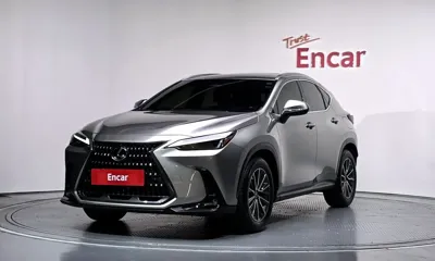 Lexus NX · 2023 год