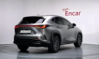 Lexus NX 2023, 25130 км, за 35038.67 USD