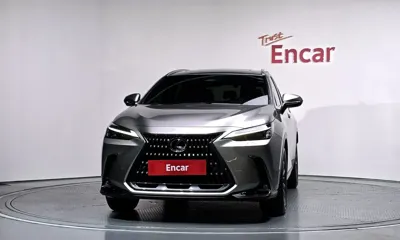 Lexus NX 2023, 25130 км, за 35038.67 USD