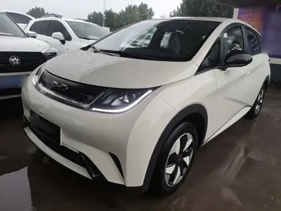 BYD Dolphin 2026, 300 км, за 11184.98 USD
