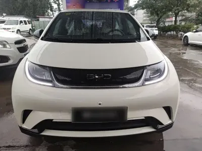 BYD Dolphin 2026, 300 км, за 11184.98 USD