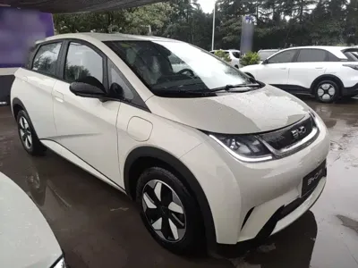 BYD Dolphin 2026, 300 км, за 11184.98 USD