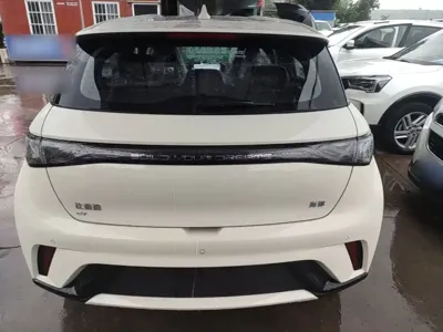 BYD Dolphin 2026, 300 км, за 11184.98 USD - фото 6