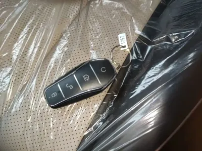 BYD Dolphin 2026, 300 км, за 11184.98 USD - фото 9